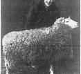 Peter Mackesy, Shortly Before Shearing